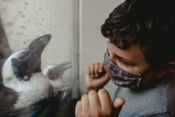 A young boy dances with a penguin at the Academy of Sciences in San Francisco, CA