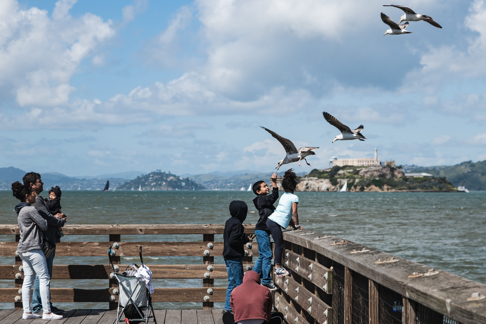 A boy feeds seagulls at fishermans wharf with Alcatraz in the background in San Francisco, CA